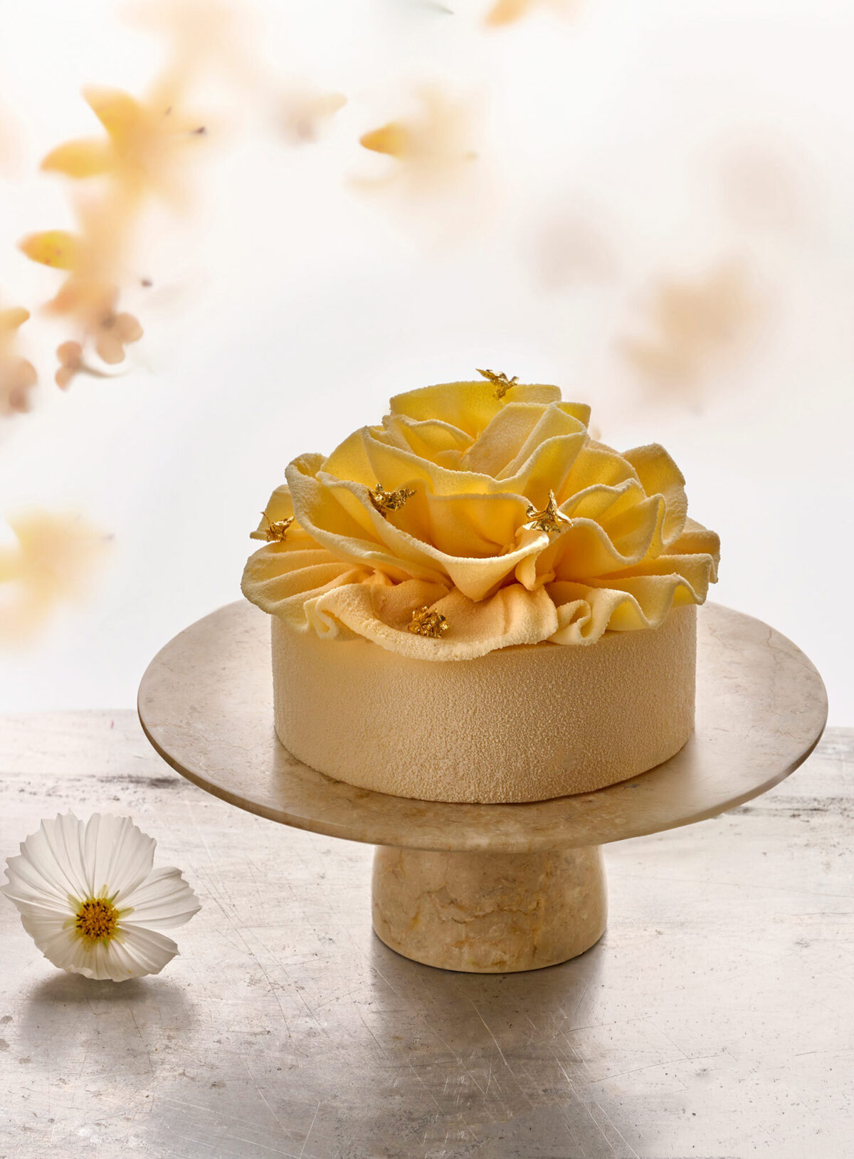 BOTANIC 87335 bis zonder zonder